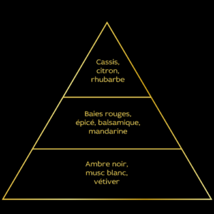 pyramide olfactive 10.07