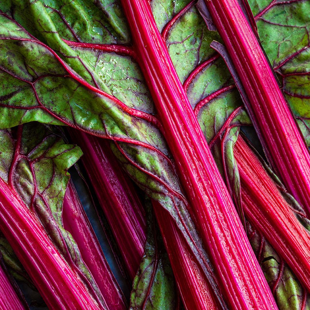 rhubarbe-bienfaits