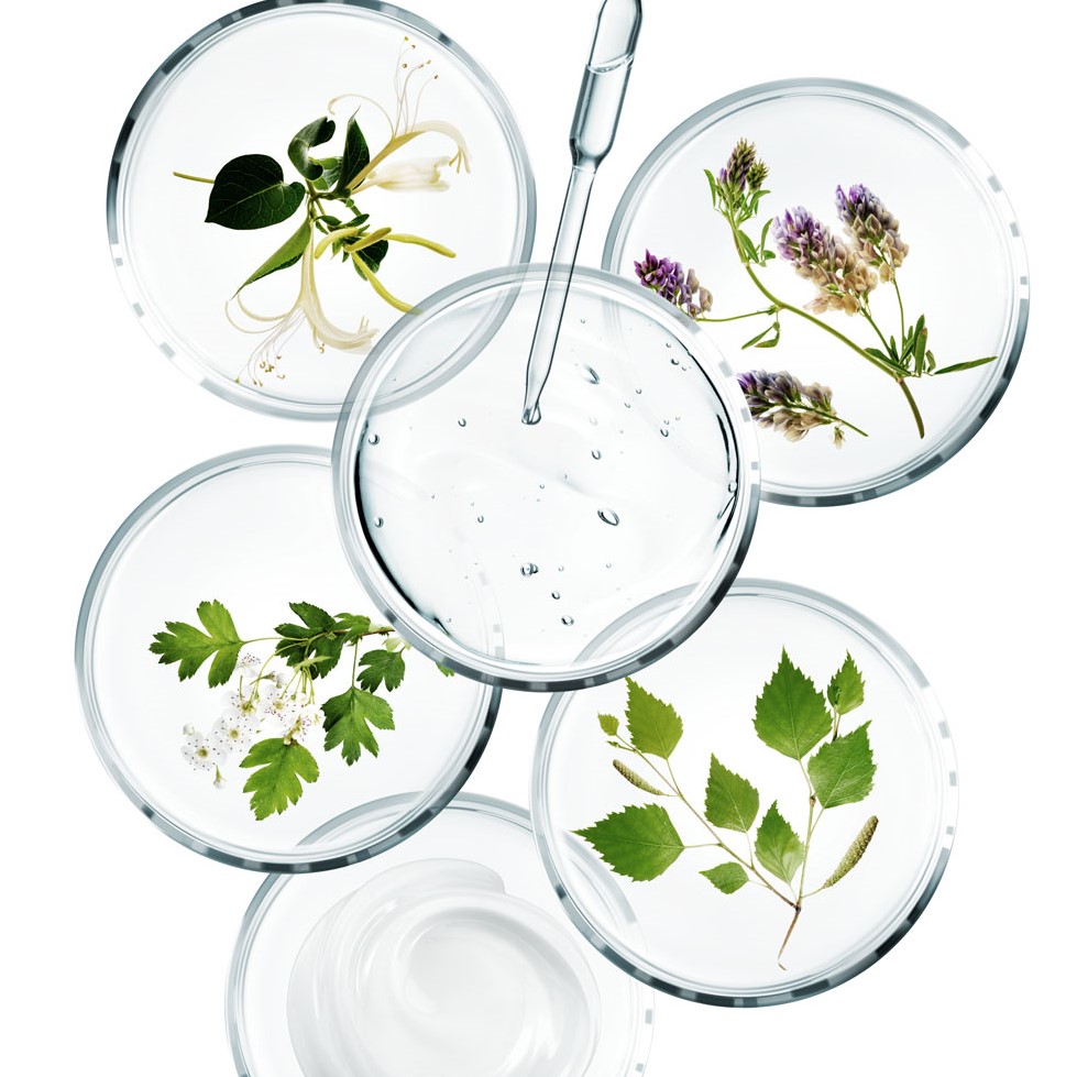 Glass petri dish with different cosmetic products on white background. Shampoo, hair conditioner or mask and shower gel, top view