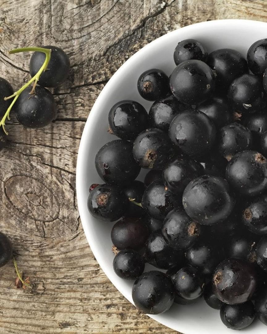 ingrédient cassis italie