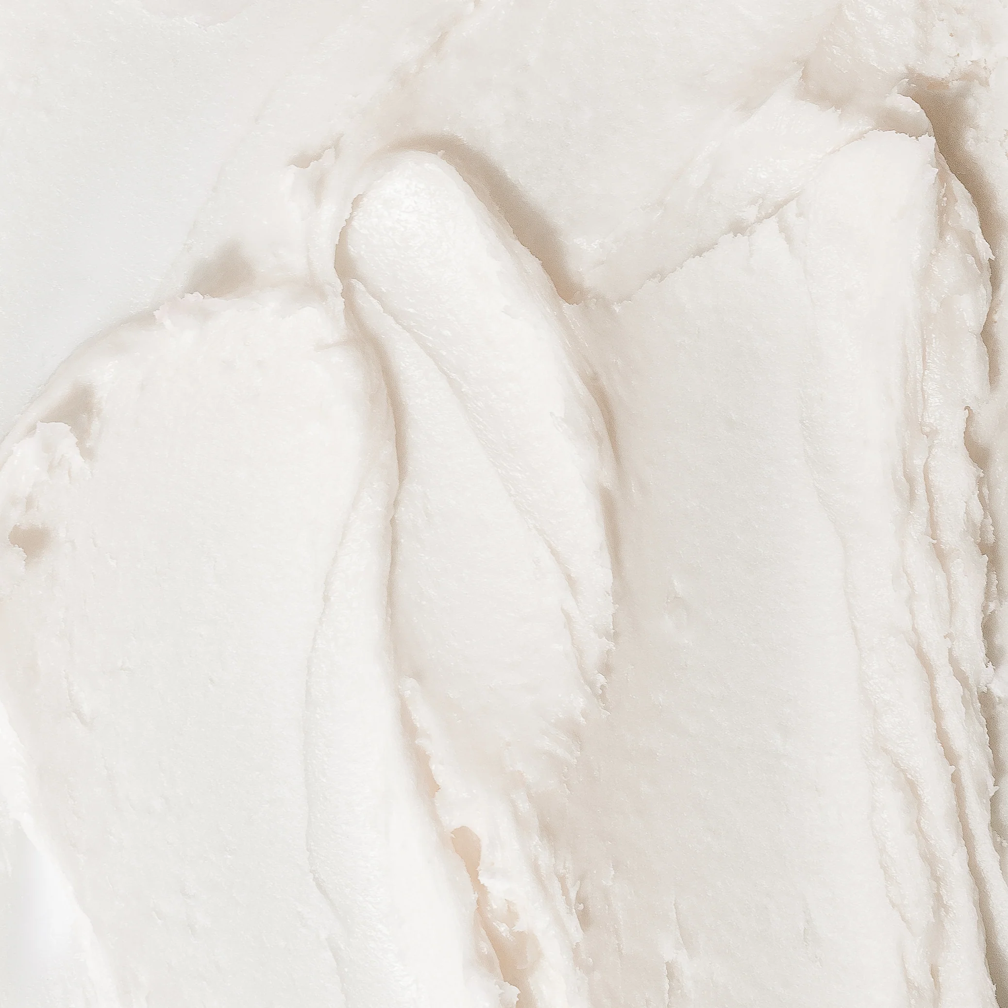 orchidée noire chantilly 3