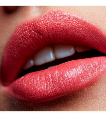 le-rouge-a-levres-mat-icone confident1