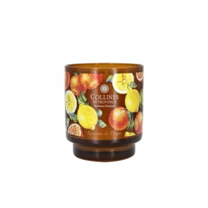 Bougie Parfumée Agrumes du Verger 220gr
